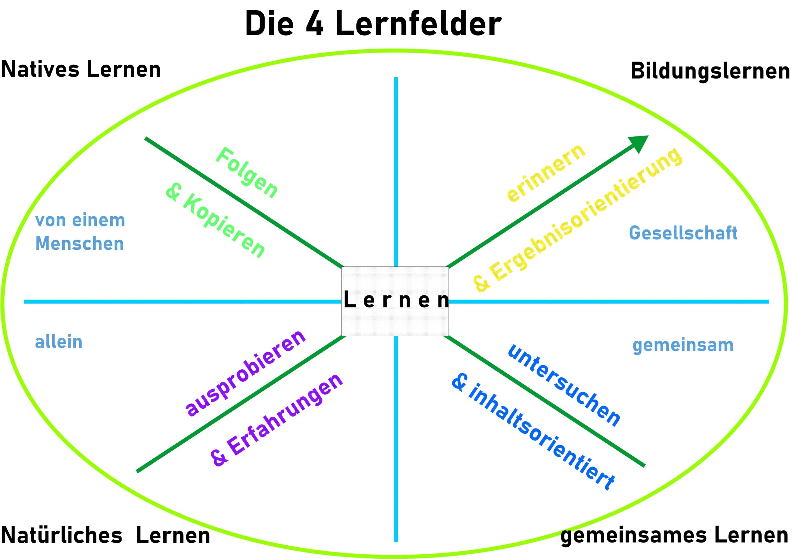Grafik Die 4 Lernfelder aus dem Buch Wie wachsen wir? Nie von allein